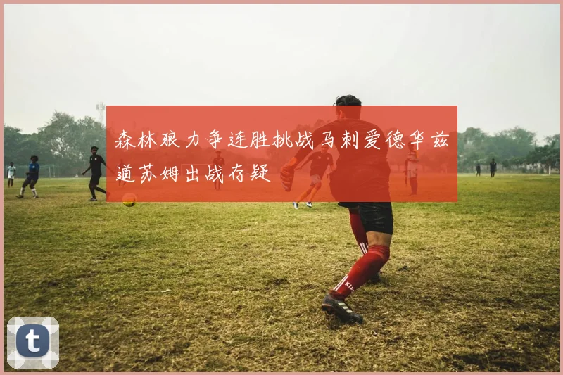森林狼力争连胜挑战马刺爱德华兹道苏姆出战存疑