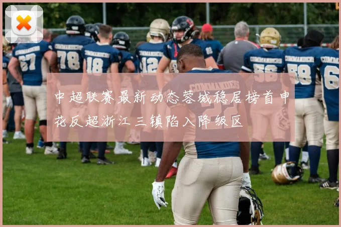 中超联赛最新动态蓉城稳居榜首申花反超浙江三镇陷入降级区